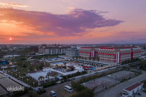 ORANGE COUNTY BELEK