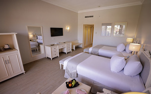 CALIMERA BLEND PARADISE (5 foto / 10)