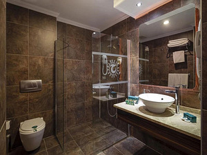 CLUB HOTEL TURAN PRINCE WORLD (6 foto / 10)