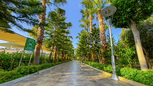 SEAMELIA BEACH RESORT HOTEL & SPA (7 foto / 10)