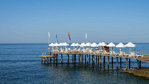 CLUB DIZALYA (6 foto / 10)