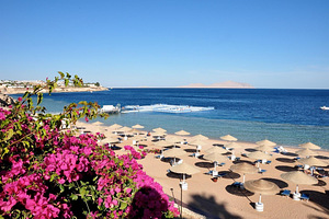 DOMINA CORAL BAY PRESTIGE POOL SHARM EL SHEIKH (3 foto / 10)