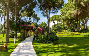 REGNUM CARYA (6 фото из 10)