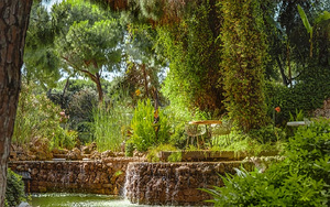 REGNUM CARYA (8 фото из 10)