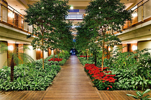 GLORIA SERENITY RESORT HOTEL (8 foto / 10)
