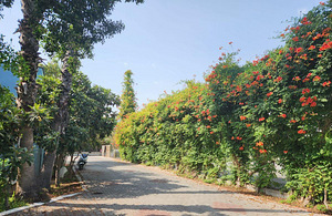 WORLD STAR BEACH RESORT & SPA HOTEL (10 foto / 10)