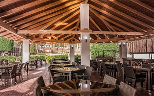 OLE TROPICAL TENERIFE(ADULTS ONLY+16) (10 foto / 10)