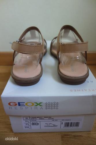 Geox sandaalid, s. 35 (uued) (foto #3)