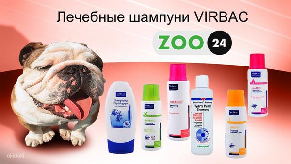Virbaci tervendavad šampoonid (foto #1)