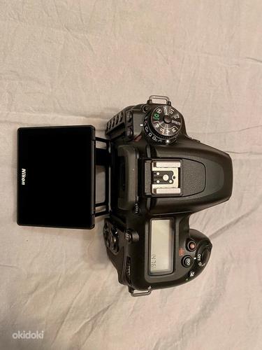Nikon D7500 + Tamron 24-70mm f/2.8 G2 (фото #3)