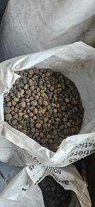 Kergkruus (2 foto / 2)
