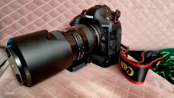 Новый Canon Eos 1dx + tamron sp 70-200mm f/2.8 di vc usd g2 (фото #2)