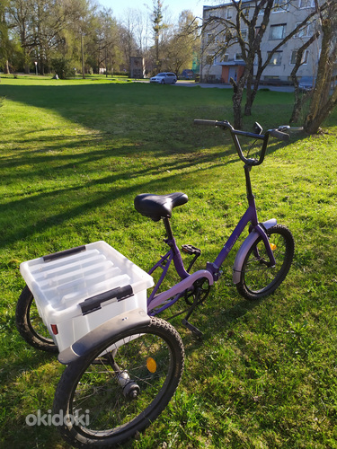 Kolmerattaline jalgratas täiskasvanutele (foto #2)