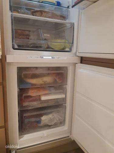 Встроенный холодильник Электролюкс (фото #5)