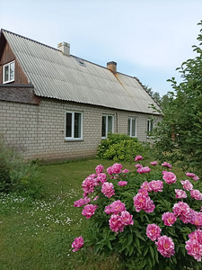 Lepa tee 74, Kiviõli, Lüganuse vald, Ida-Virumaa (2 foto / 9)