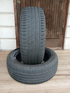 195/55/16 Nokian Hakka Green 2 (1 foto / 3)