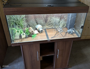 Akvaarium 150L Juwel (1 foto / 3)