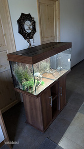 Akvaarium 150L Juwel (2 foto / 3)
