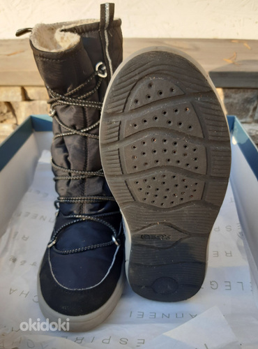Зимние ботинки GEOX s 31 (фото #3)