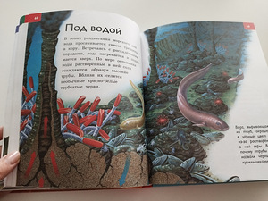 Книги (5 фото из 7)