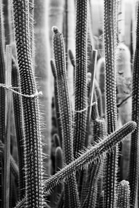 Canon EOS 750 - ideaalne hobi fotograafile või algajale (10 foto / 10)