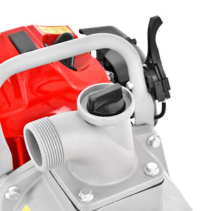 Bensiinimootoriga pump HECHT 343 (4 foto / 10)