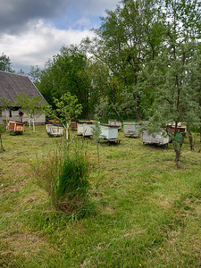 Lamavtarud erinevates suurustes (1 foto / 3)