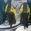 Uued Peep toe kingad + kingutseks kleit (foto #4)