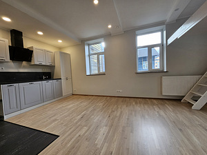 Luise tn 21/1, Kesklinna, Tallinn, Harjumaa (4 foto / 14)