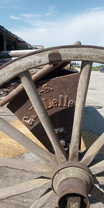 Lellepi külvik (2 foto / 7)