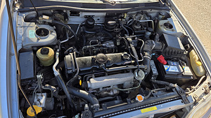 Nissan primera (6 foto / 6)
