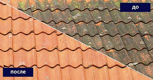 Katuse remont, fassaadi remont, akende puhastus, sambla eemaldamine (3 foto / 3)