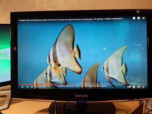 23.6" Monirot Samsung SyncMaster 2433LW, 1920x1080, TN (3 foto / 3)