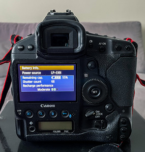 Canon 1DX (6 фото из 7)