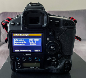 Canon 1DX (7 фото из 7)