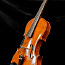 Скрипка Carl Willert Güstrow (фото #5)