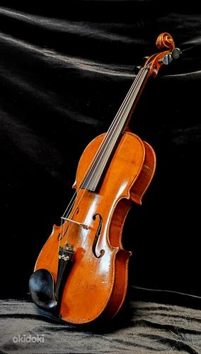 Скрипка Carl Willert Güstrow (фото #5)
