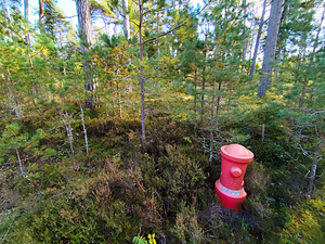 Merineitsi tee 8, Tahkuna, Hiiumaa vald, Hiiumaa (48 foto / 50)