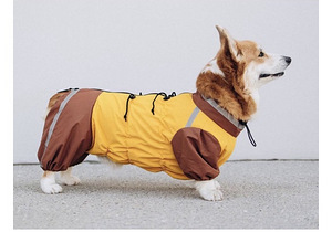 Corgi kombinesoonid (5 foto / 5)