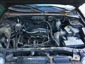 Ford Maverick (13 фото из 15)