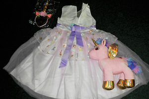 Uus Unicorn lilla printsessi komplekt (134/140) (8 foto / 10)