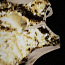 Праздничное золотое- платье с паетками 128/134 + сумочка (фото #3)