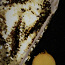 Праздничное золотое- платье с паетками 128/134 + сумочка (фото #4)