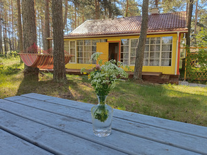 Rendi Endale Suvemaja Peipsi Järve Ääres! (11 foto / 12)