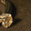 Золотое кольцо с бриллиантом 750 проба (№L843) (фото #5)