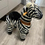 Ponycycle zebra (foto #2)