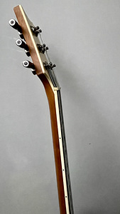 PRS style guitar, meistri töö, kvaliteet (6 foto / 9)