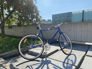 Jalgratas Fixie Excelsior Sputter (2 foto / 5)