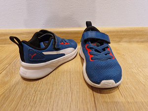 Puma tossud, 23 (2 foto / 5)