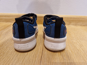 Puma tossud, 23 (4 foto / 5)